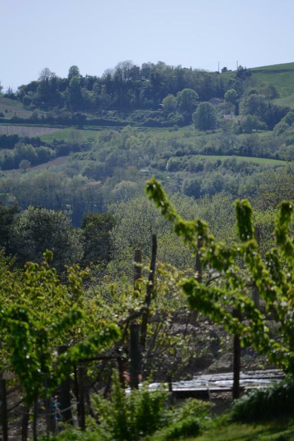Gite les pins Montchenu Extérieur photo